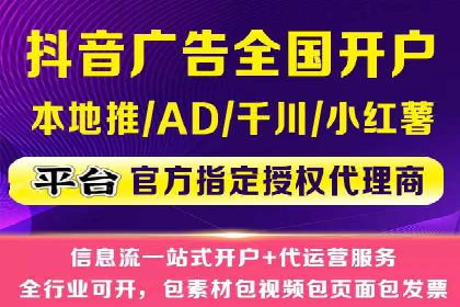 百度竞价公司案例分析：优化策略全解析